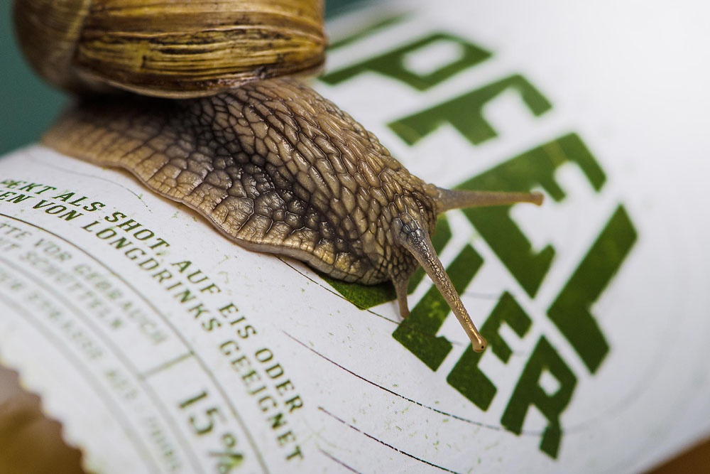 品牌包裝形象設計