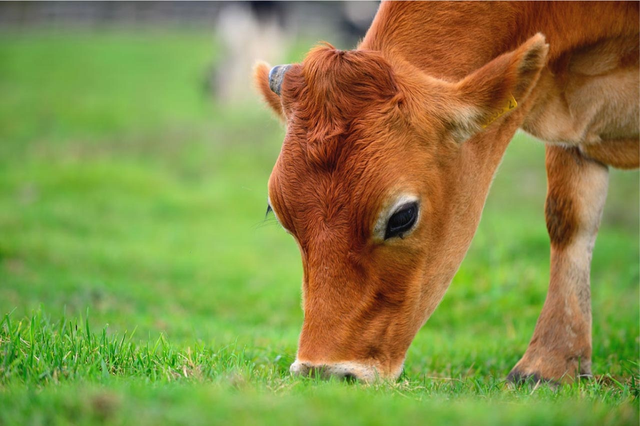包裝設(shè)計(jì)